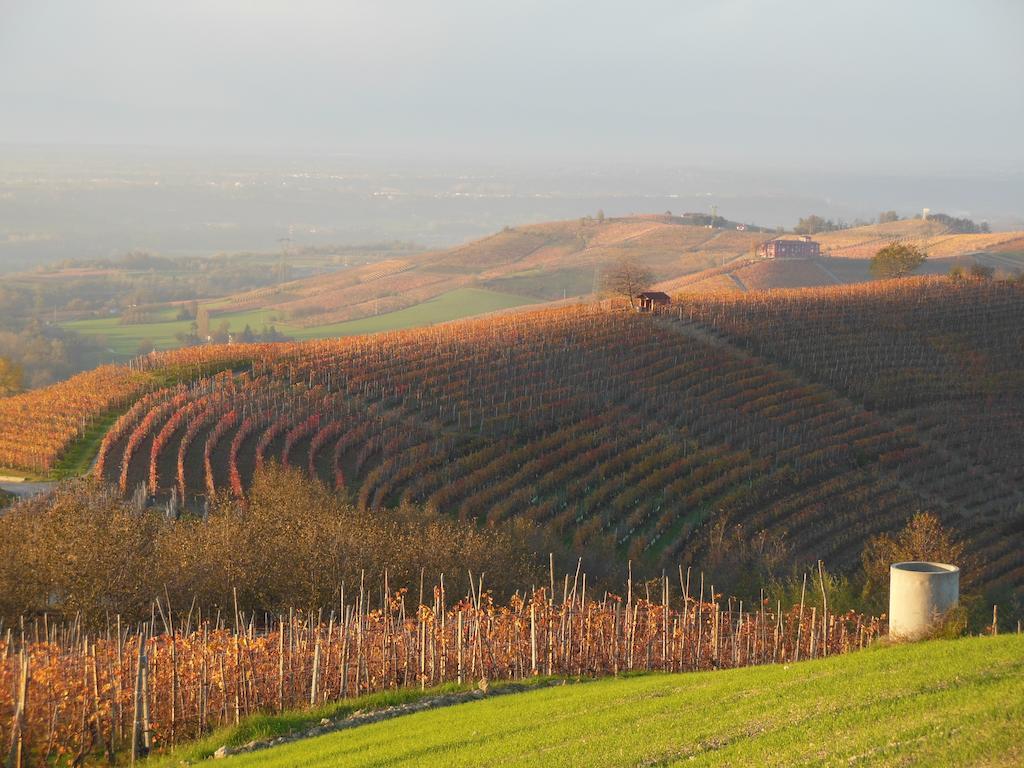 Agriturismo Affittacamere Barbarossa 돌리아니 외부 사진