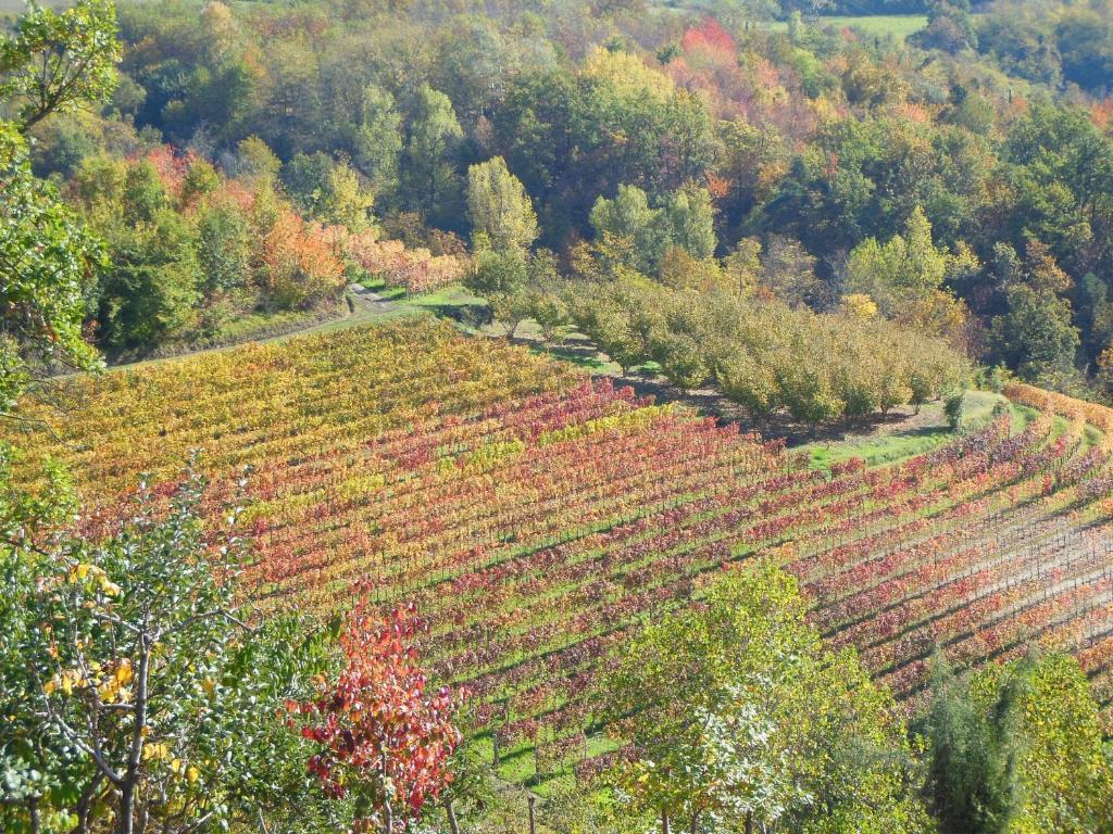 Agriturismo Affittacamere Barbarossa 돌리아니 외부 사진