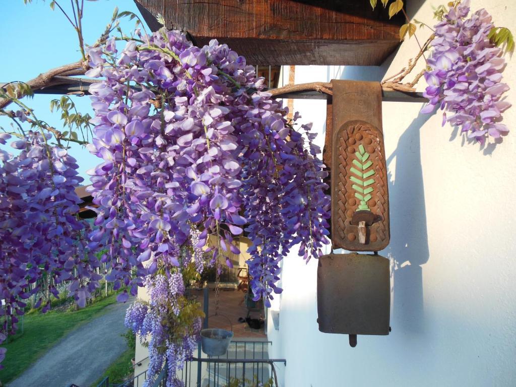 Agriturismo Affittacamere Barbarossa 돌리아니 외부 사진