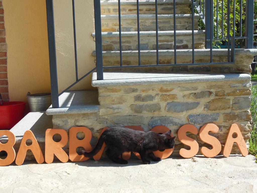 Agriturismo Affittacamere Barbarossa 돌리아니 외부 사진