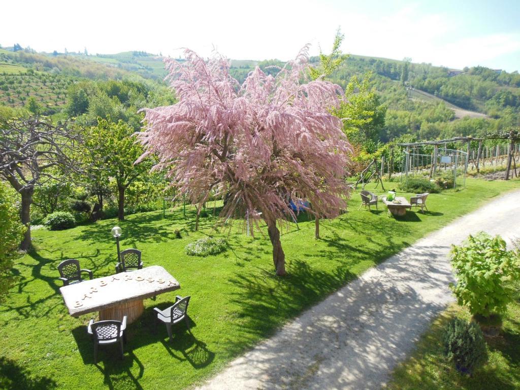 Agriturismo Affittacamere Barbarossa 돌리아니 외부 사진