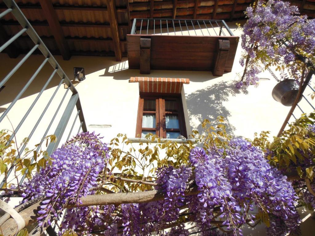 Agriturismo Affittacamere Barbarossa 돌리아니 외부 사진