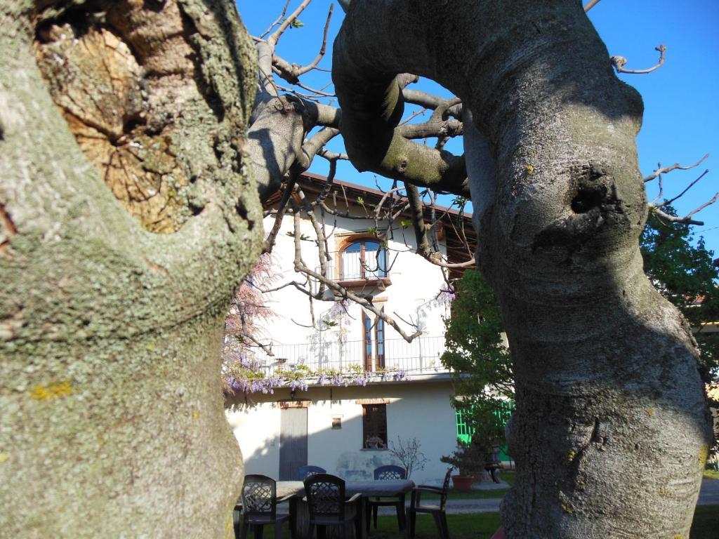Agriturismo Affittacamere Barbarossa 돌리아니 외부 사진