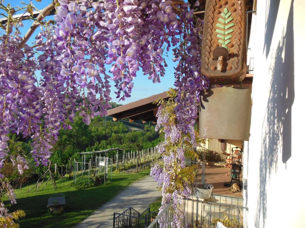 Agriturismo Affittacamere Barbarossa 돌리아니 외부 사진