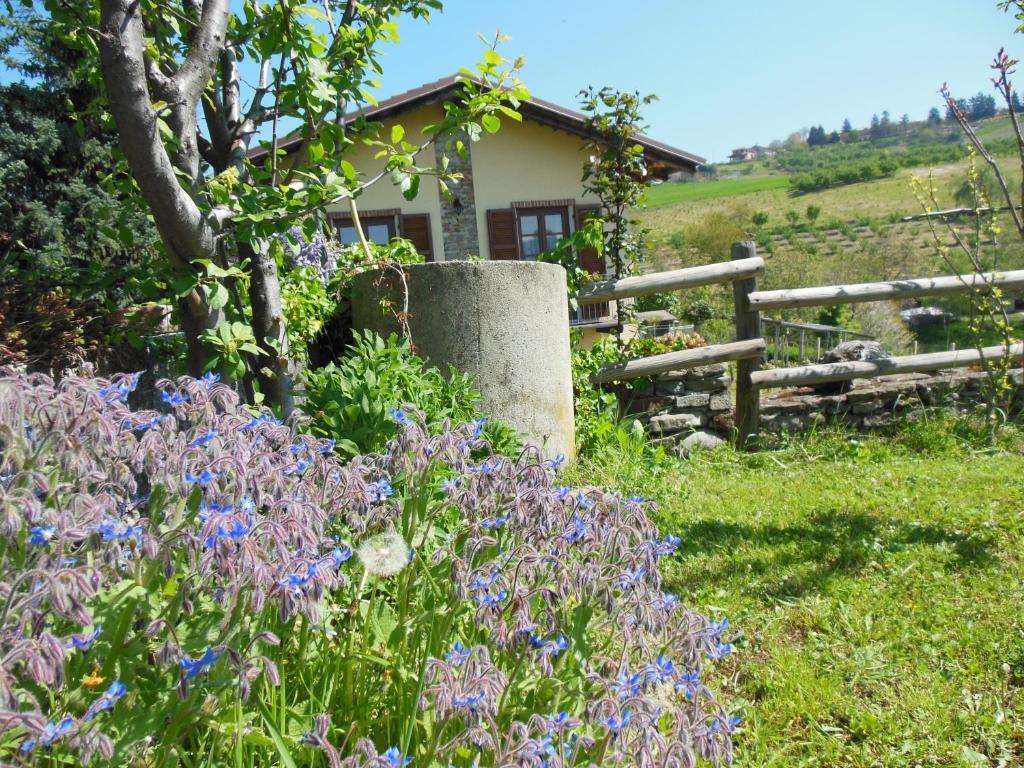 Agriturismo Affittacamere Barbarossa 돌리아니 외부 사진